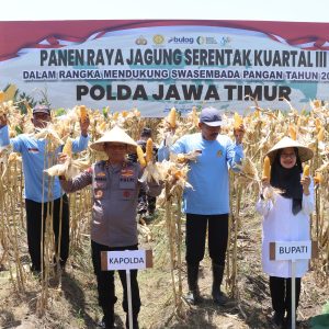 Komitmen Wujudkan Ketahanan Pangan Nasional, Kapolda Jatim Bersama Forkopimda Banyuwangi Gelar Panen Jagung Serentak 1.446 Ton