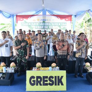 Polres Gresik Panen Jagung 5 Ton, Wujud Nyata Dukung Swasembada Pangan 2025
