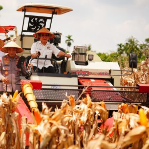 Panen Raya Kuartal III Polri Hasilkan 751 Ribu Ton Jagung, Bukti Nyata Dukung Swasembada Pangan