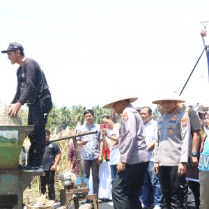 Kapolda Jatim dan Forkopimda Panen Raya Jagung Kuartal III Banyuwangi Surplus Pangan 4 kali Lipat