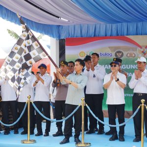 Tanam Serentak, 1.268 Ton Jagung Dilepas Polri untuk Bulog