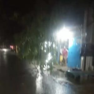 Pohon Tumbang Timpa Rumah Warga di Pangkep, Warga Minta DLH Perhatikan Pohon Rawan Saat Musim Hujan