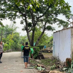 Kapolsek Kejayan Bersama Pemuda Punisher Gelar Bhakti Sosial Renovasi Mushola di Desa Kepuh