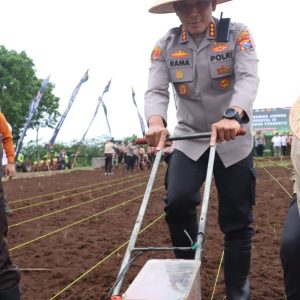 Polresta Banyuwangi Dorong Penguatan Ketahanan Pangan Lewat Penanaman Jagung Kuartal IV 2025