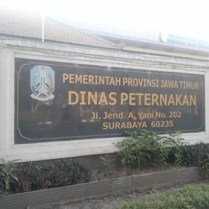 Dinas Peternakan Jawa Timur Harus Bertanggung Jawab Atas Dugaan Kerugian Negara yang Timbul Akibat Inkonsistensi Pemenuhan spesifikasi Ternak Dibandingkan Tahun Tahun Sebelumnya