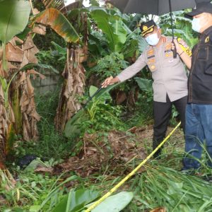 Temuan Mayat Tanpa Identitas di Semak Kebun Pisang, Polresta Tangerang Lakukan Penyelidikan   