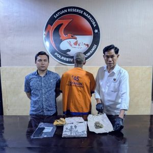 Polresta Banyuwangi Ungkap Peredaran Ganja Satu tersangka Diamankan