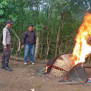 Polres Malang Bongkar Arena Judi Sabung Ayam di Kalipare