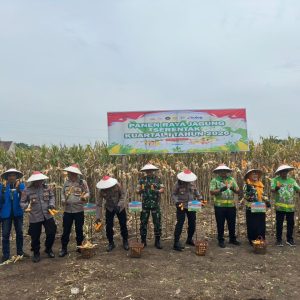 Panen Jagung Serentak Kuartal I 2026 bersama Kapolri, Kapolres Pasuruan Tegaskan Komitmen Ketahanan Pangan
