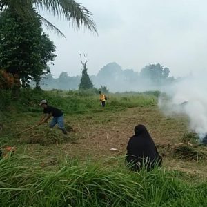 DESA MEKAR JAYA DUKUNG KETAHANAN PANGAN MELALUI PROGRAM TANAM JAGUNG