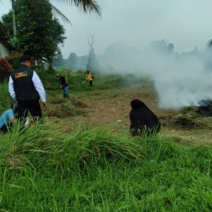 DESA MEKAR JAYA DUKUNG KETAHANAN PANGAN DENGAN TANAM JAGUNG   