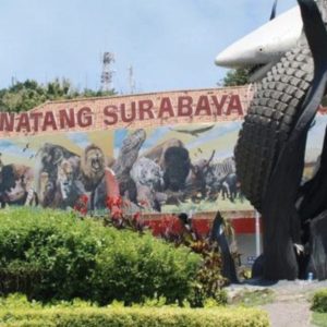 Penggeledahan Kejati Jatim di KBS Didukung MAKI Jatim, Dugaan Mega Korupsi Satwa Jadi Sorotan Utama
