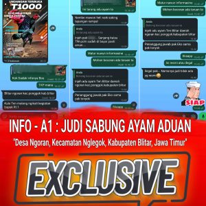 APAKABAR  Pak Kapolda Jatim, “Sabung Ayam Aduan BLITAR Menyalah Tak Tersentuh Hukum