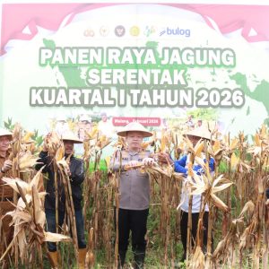 Polres Malang Panen Raya Jagung, Hasil 8 Ton untuk Dukung Stok Pangan