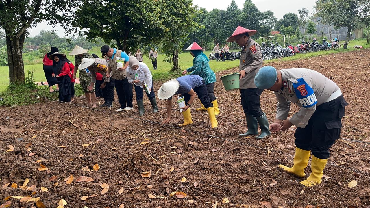 Personel Polsek Panongan bersama petani melakukan penanaman jagung hibrida di Desa Serdang Kulon Kecamatan Panongan Kabupaten Tangerang