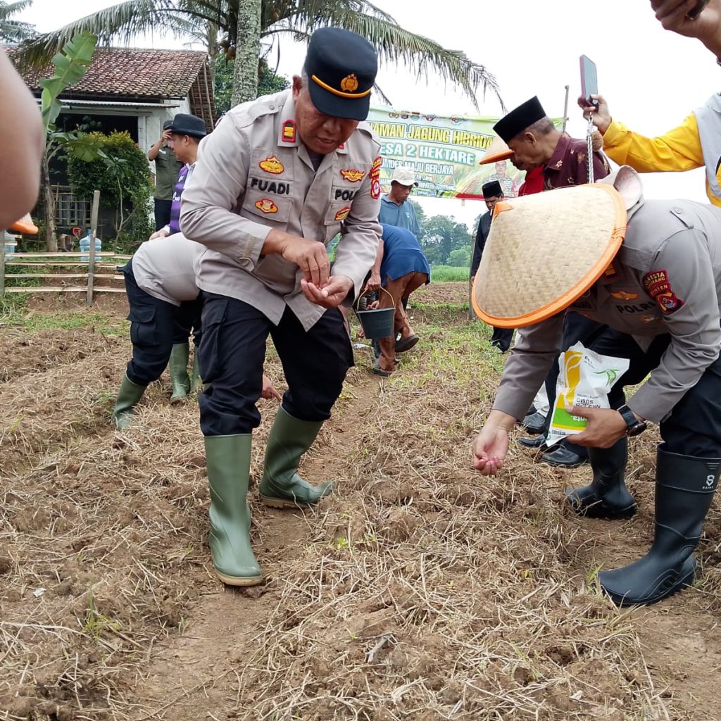 Personel Polsek Panongan bersama warga menabur benih jagung hibrida di Kampung Serdang Desa Mekar Jaya