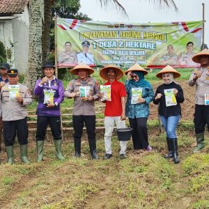 Polsek Panongan Bersama BUMDes Maju Berjaya Mekar Jaya Tanam Bibit Jagung Hibrida di Kampung Serdang