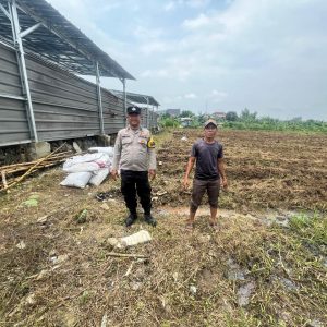 Dukung Ketahanan Pangan Nasional, Polsek Panongan Kawal Program 1 Desa 2 Hektare di Kabupaten Tangerang