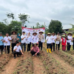 Polsek Tigaraksa dan BUMDes Pete Tanam Jagung Hibrida Program 1 Desa 2 Hektar Dukung Ketahanan Pangan