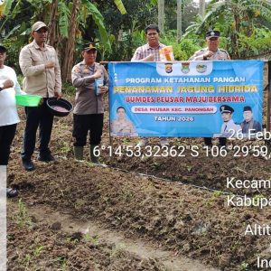 Kapolsek Panongan pimpin penanaman jagung hibrida Parakan Ketapang