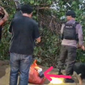 Potongan Tubuh Korban Mutilasi dalam Freezer Ditemukan di Bogor