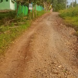 Akses Jalan menuju SMA.N.6.Metro perlu di perhatikan oleh pemerintah