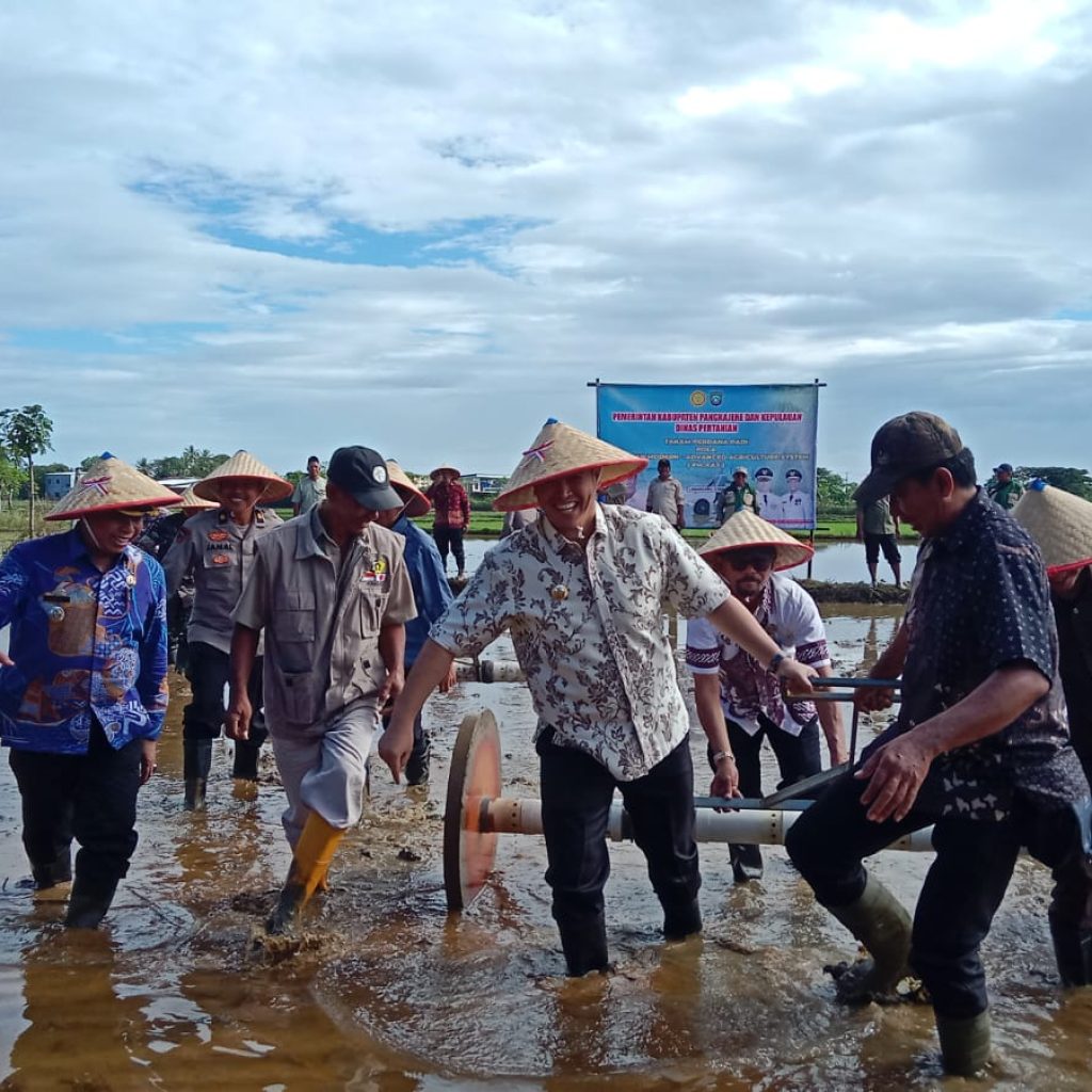 Bupati Pangkep Pimpin Tanam Perdana Padi Modern PM.AAS Di Labakkang