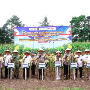 Panen Raya Jagung Serentak Kuartal II Tahun 2026, Kapolda Sulsel Dorong Ketahanan Pangan Nasional di Pangkep