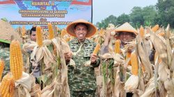 Dandim 0510/Tigaraksa Letkol Inf Yudho Setyono Pimpin Panen Raya Jagung Bersama Kasdam Jaya di Cisauk