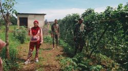 Lurah Bontomatene Tinjau Lokasi Binaan PKK Ketahanan Pangan di Kampung Citta