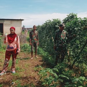 Lurah Bontomatene Tinjau Lokasi Binaan PKK Ketahanan Pangan di Kampung Citta