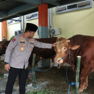 Polres Gresik Salurkan Hewan Qurban Iduladha 2026, Wujud Kepedulian dan Kebersamaan