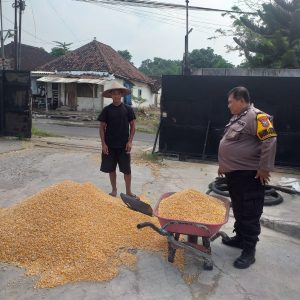 Polsek Kejayan Kawal Pengiriman Hasil Panen Jagung ke Bulog untuk Dukung Ketahanan Pangan Nasional