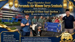 Wujud Kepedulian Sosial, Perumda Air Minum Surya Sembada Kota Surabaya Salurkan 13 Ekor Sapi Qurban pada Idul Adha 1447 H
