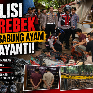 Polresta Tangerang Gerebek Judi Sabung Ayam di Jayanti, Dua Orang dan 28 Unit Motor Diamankan