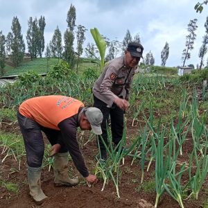 Polisi Turun ke Kebun Bawang Prei, Dorong Warga Aktif Bertanam untuk Ketahanan Pangan