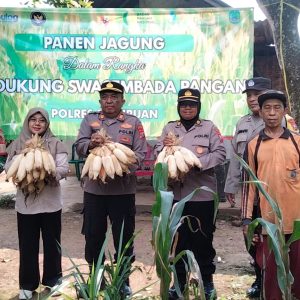Dukung Asta Cita Presiden, Polsek Puspo Panen Jagung Bersama Petani