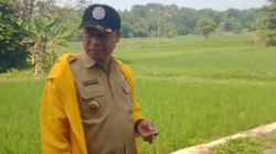 Perbaikan Jembatan Penghubung Desa Mekar Jaya dan Desa Palasari Dilaksanakan Secara Gotong Royong